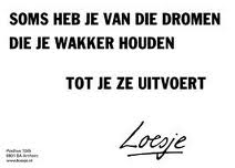 dagdromen-Loesje