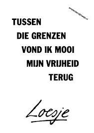 grenzen Loesje