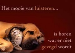 luisteren wat niet gezegd wordt